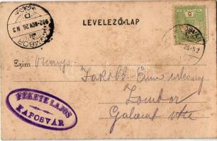 1902 Kaposvár, Korona utca, Práger Lipót fodrász terme, Geiszler Nep., Pollák József és Steinitz Ign...