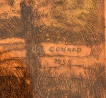 Conrad Gyula (1877-1959): Halásztanya, színezett rézkarc, papír, jelzett, üvegezett fa keretben, fol...