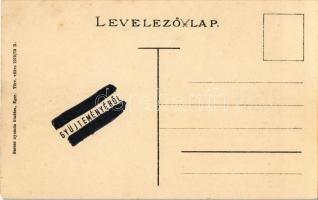 Eger, Főgimnázium. Magyar zászlós és címeres szecessziós lap. Art Nouveau