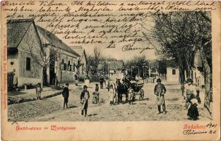 1901 Budakeszi, Erdő utca, lovaskocsi. Hatschek Emil kiadása / Waldgasse (szakadés / tear)