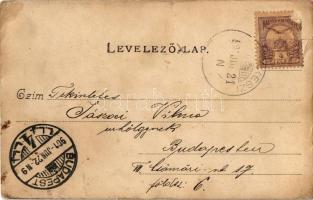 1901 Budakeszi, Erdő utca, lovaskocsi. Hatschek Emil kiadása / Waldgasse (szakadés / tear)