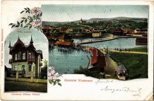 1903 Vízakna, Salzburg, Ocna Sibiului; fürdő, Villa Louise. Graef Károly kiadása / spa, villa. Art Nouveau, floral (EK)