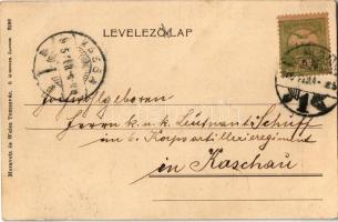 1905 Temesvár, Timisoara; Szent György tér, villamosok, Keppich Kálmán, Palagyi József, Rosenberg M....