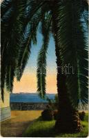 1930 Gardone Riviera, Giardino, Grandhotel e Isola, Lago di Garda / hotel garden, island, lake (worn corners)