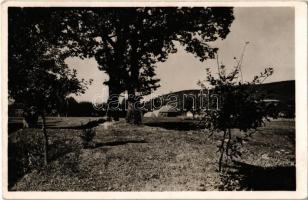 1943 Zágon, Zagon; Mikes Kelemen tölgyfái. Kiadja Lapikás Béla / the oak trees of Kelemen Mikes