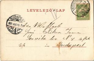 1905 Nagyszombat, Tyrnau, Trnava; látkép templomokkal / general view with churches