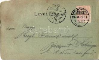 1899 (Vorläufer!) Kolozsvár, Cluj; Wesselényi Miklós utca, Novák Albert, Deák Gyula és Szilágyi Istv...