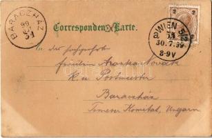 1899 Wien, Vienna, Bécs; Stefansdom / cathedral. Kunst-Anstalt Rosenblatt Art Nouveau, floral, litho...