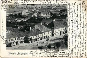 1904 Zólyom, Zvolen; látkép a zsinagógával. Jeranek Sándor és Ercz és fia raktára, Hungária szálloda, Steiner Lajos üzlete és saját kiadása / general view with synagogue and shops, hotel (EK)