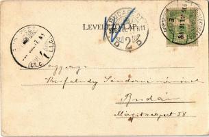 1906 Körmöcbánya, Kremnitz, Kremnica; utcakép, Süsz Mari, Klein Armin, Tandrics Fülöp, Frank és Varg...