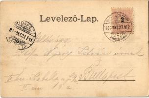 1899 Nagytapolcsány, Topolcany; Fő tér, Szlanka János és Pollak üzlete. Platzko Gyula kiadása / main...