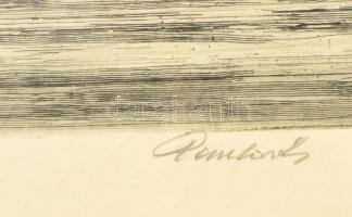 Paulovits Pál (1892-1975): Szeged Tisza-part. Rézkarc, papír, jelzett, üvegezett keretben, 28×44 cm