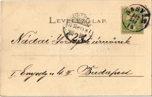 1902 Sasvár, Sastín, Mária Sasvár, Maria-Schlossberg; Piac tér / Marktplatz / market square