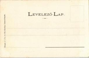 Selmecbánya, Schemnitz, Banská Stiavnica; Deák Ferenc utca, piac. Joerges Á. özv. és fia kiadása / s...