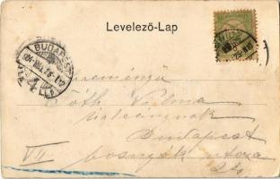 1904 Szenice, Szenicz, Senitz, Senica nad Myjavou; Piac tér, templom. Löffler J. kiadása / market sq...