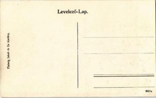 Fogaras, Fagaras; látkép, Schul Henrik üzlete. Fleissig Jakab és fia kiadása / general view, shop