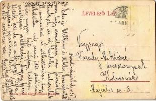 1913 Kézdivásárhely, Targu Secuiesc; látkép. Turóczi István kiadása / general view