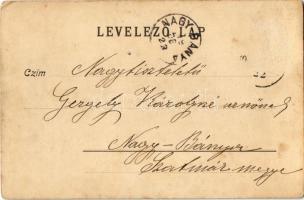 1899 Nagyvárad, Oradea; Félixfürdő vízesés. Láng József kiadása / waterfall (EK)