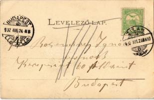 1902 Zilah, Zalau; Polgári tér. Seres Samu kiadása / square (EK)