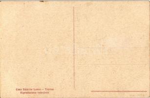 Il nostro...piano / Központi hatalmak ellenes olasz propaganda művészlap / WWI Italian anti-Central ...