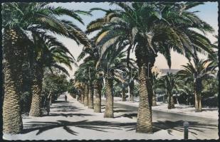 1956 Az Aranycsapat tagjainak (Kocsis, Buzánszky, stb.) aláírásai Portugáliából küldött levelezőlapo...