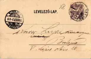 1900 Szeged, Közúti híd