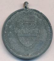 1940. "Erdélyi részek felszabadulásának emlékére" cink emlékérem mellszalag nélkül. Szign....