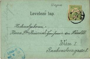 1901 Kapuvár, Vár és Rába part télen este (EK)