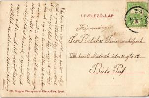 Zalabér, Római katolikus templom, park részlet (EK)