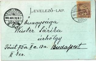 1900 Esztergom, bazilika, gőzhajó. Wallfisch A. ezüstös litho