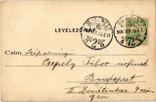 1906 Budapest VIII. Tisztviselőtelep, M. kir. honvéd központi ruhatár, Tanítónők otthona, Elemi népi...