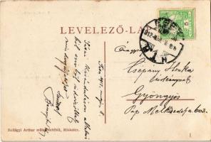 1912 Sáta (Ózd), Községháza, takarékpénztár, Gyógyszertár, Fogyasztási szövetkezet üzlete. floral