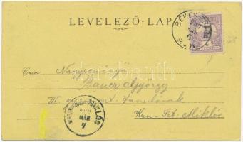 1900 Békéscsaba, Artézi kút, Katolikus és izraelita templom, zsinagóga, Rudolf gimnázium. Dohánynagy...