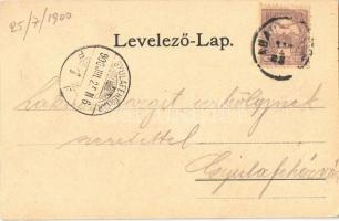 1900 Abaújszántó, Izraelita templom, zsinagóga. Türk S. fényképész, Spam Ignác kiadása / synagogue (...