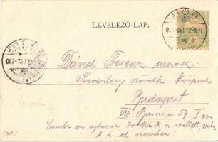 1904 Aka, templom, szövetkezet üzlete. Klökner P. kiadása, floral