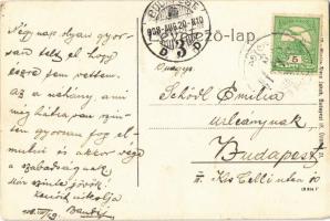 1908 Budakeszi, Erdő utca részlet / Waldgasse. Stern Jakab kiadása