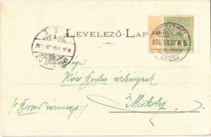 1906 Kecskemét, Barack piac árusokkal. Fekete (Schwartz) Soma kiadása  (EK)