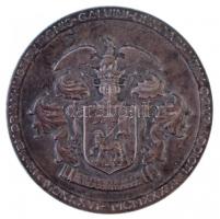 Berán Lajos (1882-1943) 1936. "PRAETER APOSTOLICAS POST CHRISTI TEMPORA CHARTAS - HUIC PEPERERE...