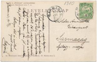 1910 Moson-Izabellamajor, Nyerges Mihály méhészete méhkaptárokkal. Kiadja a 'Méhészet" sze...