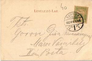 1902 Sopron, M. kir. törvényház. Kiadja F. Kummert (EK)