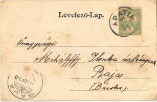 1905 Apatin, Téglagyárak. Gass Mátyás kiadása / Ziegelfabriken / brick factory (EK)