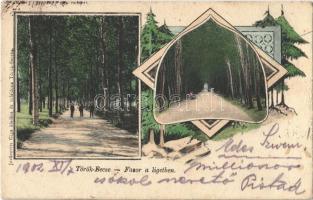 1902 Törökbecse, Újbecse, Novi Becej; Fasor a ligetben. Jovánovits Giga kiadása / forest promenade. Art Nouveau