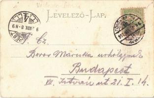 1902 Törökbecse, Újbecse, Novi Becej; Fasor a ligetben. Jovánovits Giga kiadása / forest promenade. ...