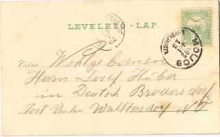 1902 Holics, Holic; Szarvasvadászat, Régi piac, Lóverseny, Fő utca, vár, Malovány üzlete / deer hunt...