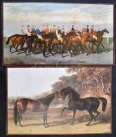 4 db galopp lovakat (Touchotonei, Emma, Rebecca, Huley, Moloch) ábrázoló nyomat, akadályverseny, cca...