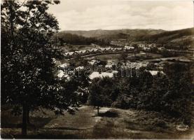 1932 Salgótarján, látkép a Liptay-sori lakóházakkal. Rimamurány-Salgótarjáni Vasmű Rt. Csiky Foto (EK)