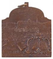 1909. "CONVENTUS MEDICORUM XVI INTERNATIONALIS" kétoldalas Br emlékérem (33,25g/44x40mm) T...