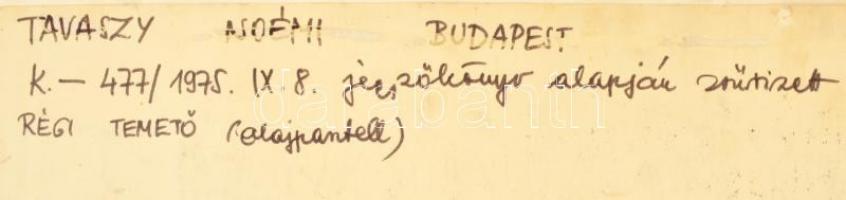 Tavaszy Noémi (1927-2018): Régi zsidó temető. Olajpasztell, papír, paszpartuban, jelzett, zsűrizett,...