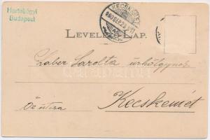 1900 Marosvásárhely, Targu Mures; Status quo ante izr. hitközségi zsinagóga. Holbach Ede kiadása / s...