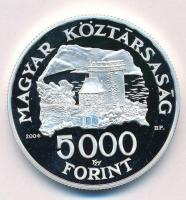 2004. 5000Ft Ag "Visegrádi vár" T:PP Adamo EM192